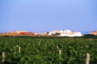 baglio_donna_franca