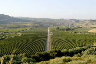 cantine_foraci