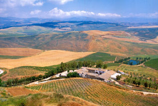 feudo_montoni