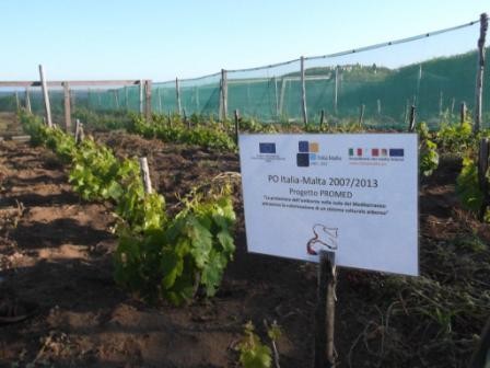 Il progetto Promed al 36° Congresso OIV