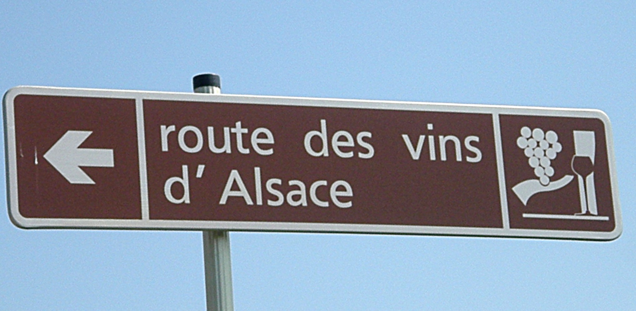 alsazia_vini