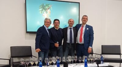 La Sicilia prima regione italiana per produzione di vini biologici, il 38% degli ettari vitati nell’isola sono bio